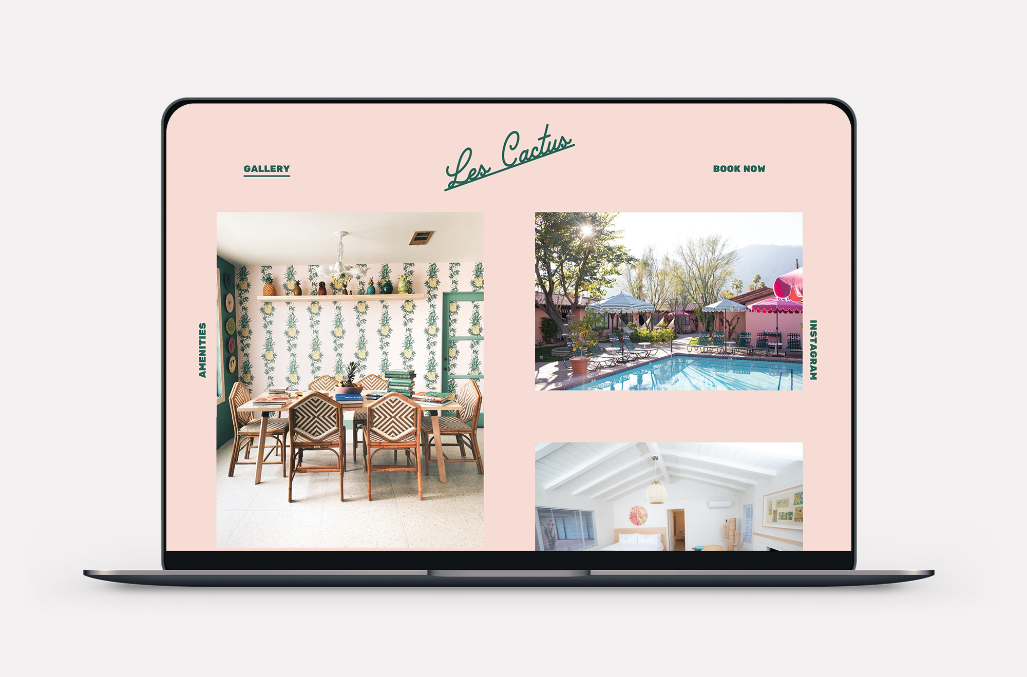 2-les-cactus-website-design-leo-basica