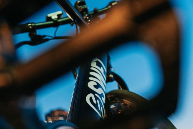 leo-basica-branding-design-rideswft