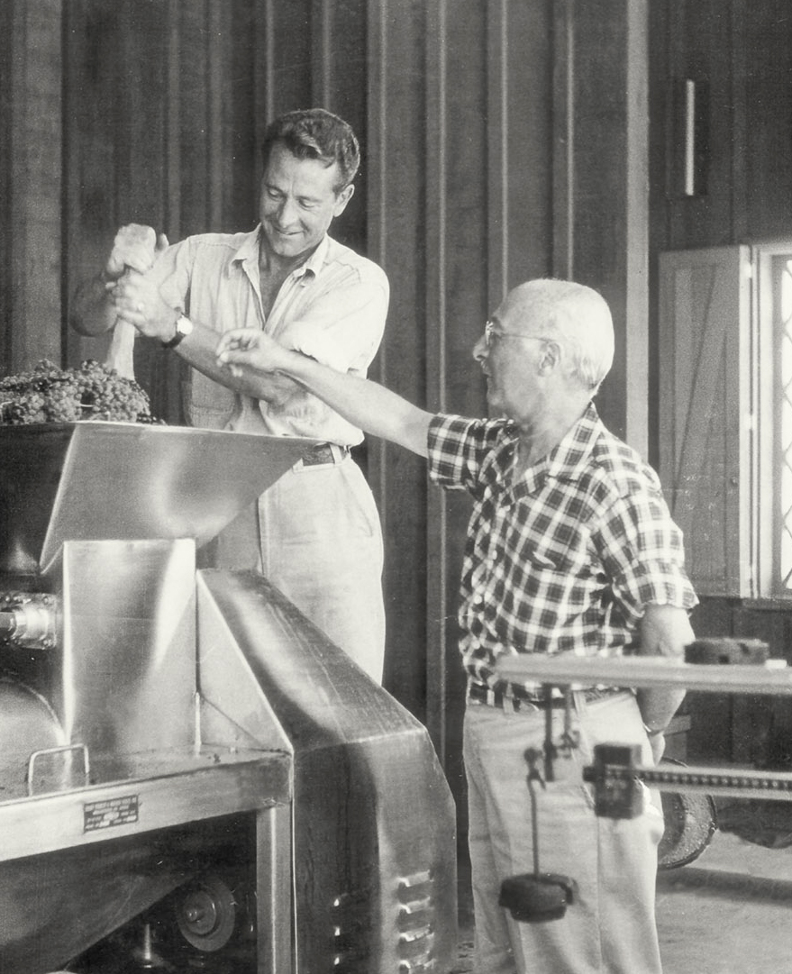 new-Ivan-Schoch-Ambassador-Zellarback-at-Hanzell-Vineyards-