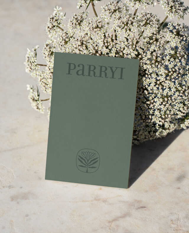 parryi-hero-shot-card-business-leo-basica-design