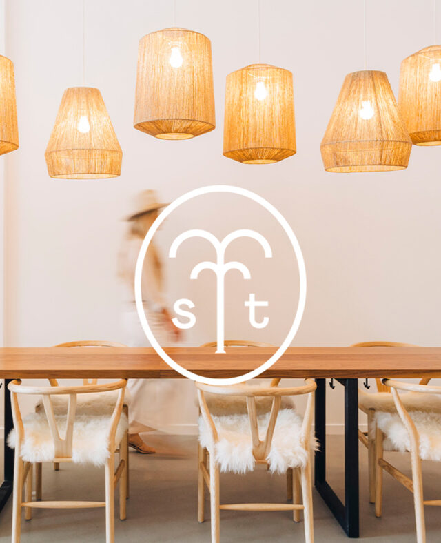 springtide-branding-leo-basica