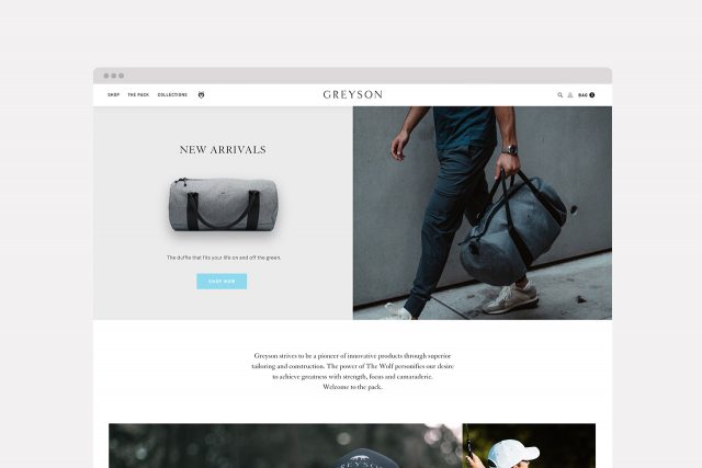 leo-basica-design-web-greyson-clothies