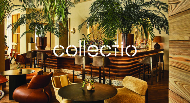 collectio-branding-leo-basica-design